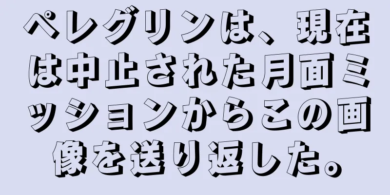 ペレグリンは、現在は中止された月面ミッションからこの画像を送り返した。