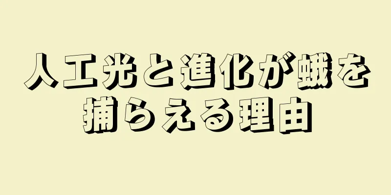 人工光と進化が蛾を捕らえる理由