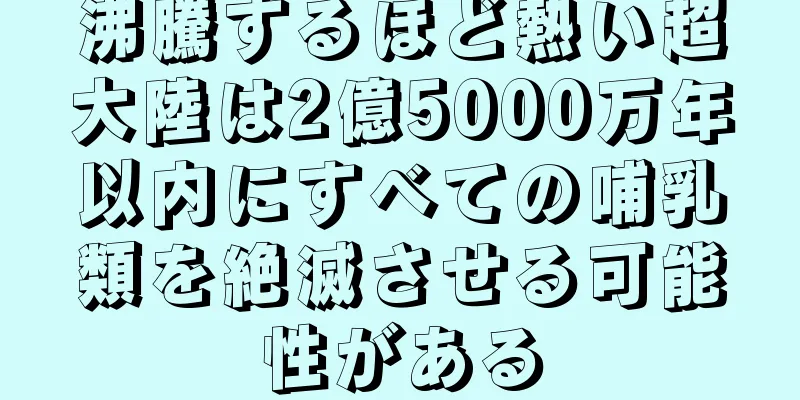沸騰するほど熱い超大陸は2億5000万年以内にすべての哺乳類を絶滅させる可能性がある