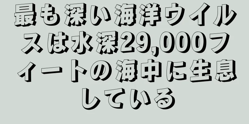 最も深い海洋ウイルスは水深29,000フィートの海中に生息している