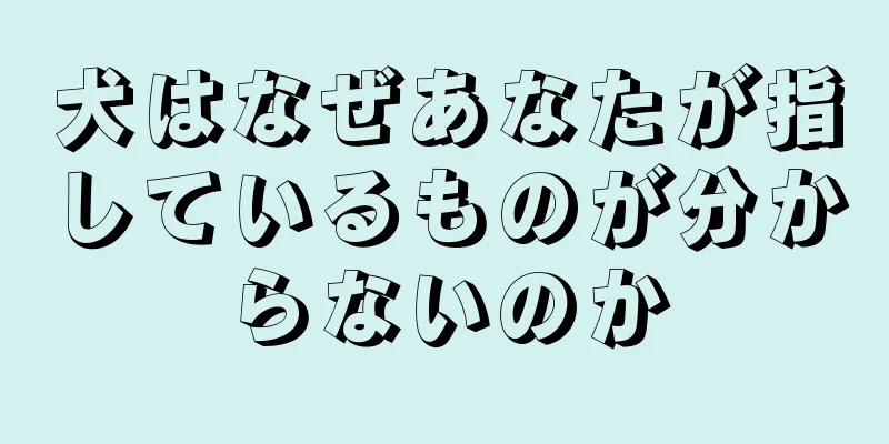 犬はなぜあなたが指しているものが分からないのか