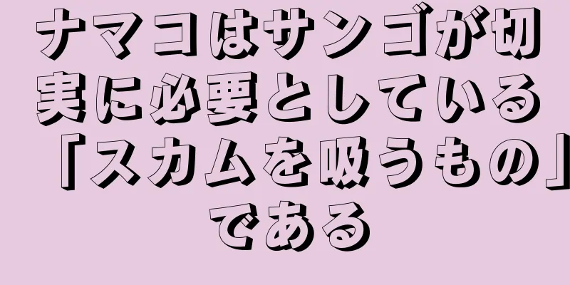 ナマコはサンゴが切実に必要としている「スカムを吸うもの」である