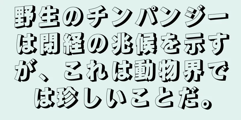 野生のチンパンジーは閉経の兆候を示すが、これは動物界では珍しいことだ。