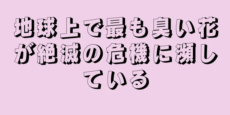 地球上で最も臭い花が絶滅の危機に瀕している