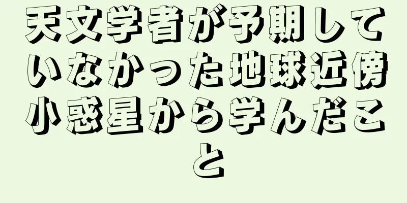 天文学者が予期していなかった地球近傍小惑星から学んだこと