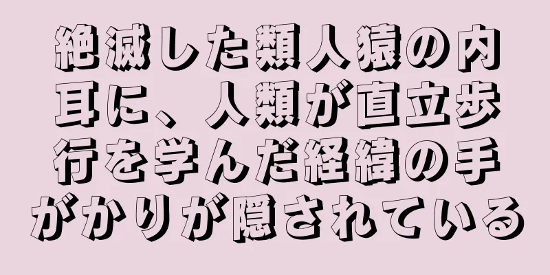 絶滅した類人猿の内耳に、人類が直立歩行を学んだ経緯の手がかりが隠されている