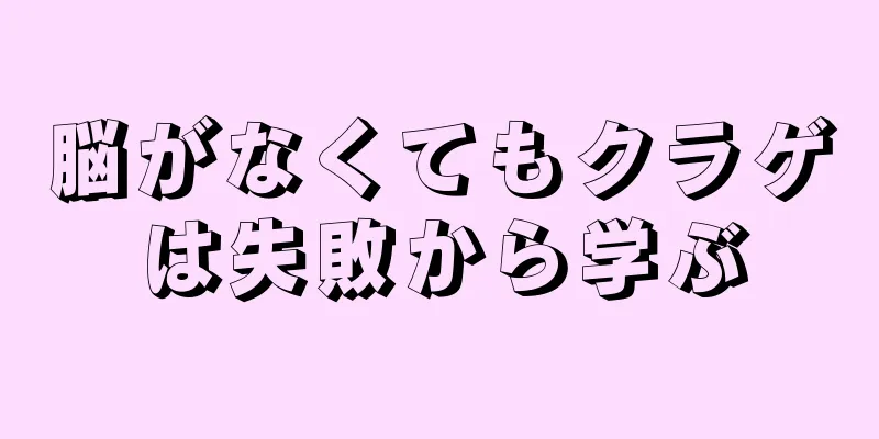 脳がなくてもクラゲは失敗から学ぶ