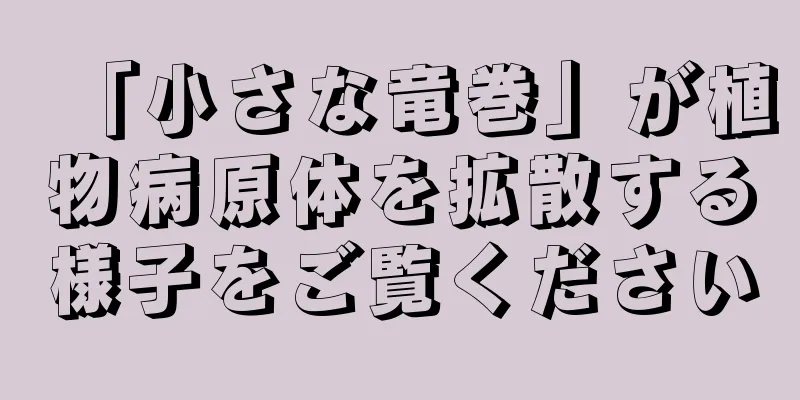 「小さな竜巻」が植物病原体を拡散する様子をご覧ください