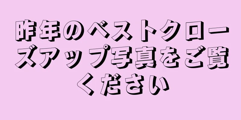 昨年のベストクローズアップ写真をご覧ください