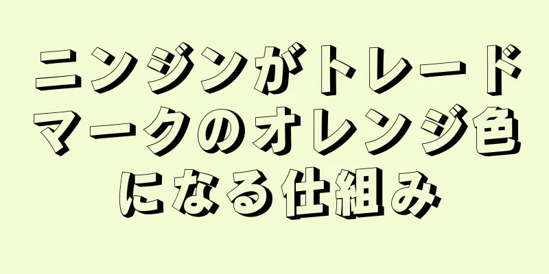 ニンジンがトレードマークのオレンジ色になる仕組み