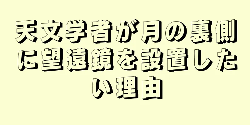天文学者が月の裏側に望遠鏡を設置したい理由