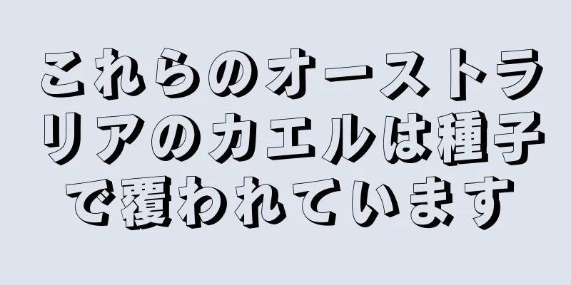 これらのオーストラリアのカエルは種子で覆われています