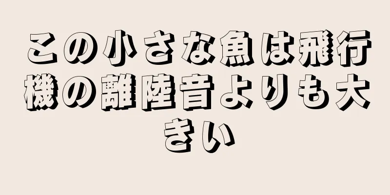この小さな魚は飛行機の離陸音よりも大きい