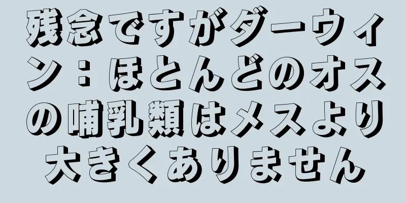 残念ですがダーウィン：ほとんどのオスの哺乳類はメスより大きくありません