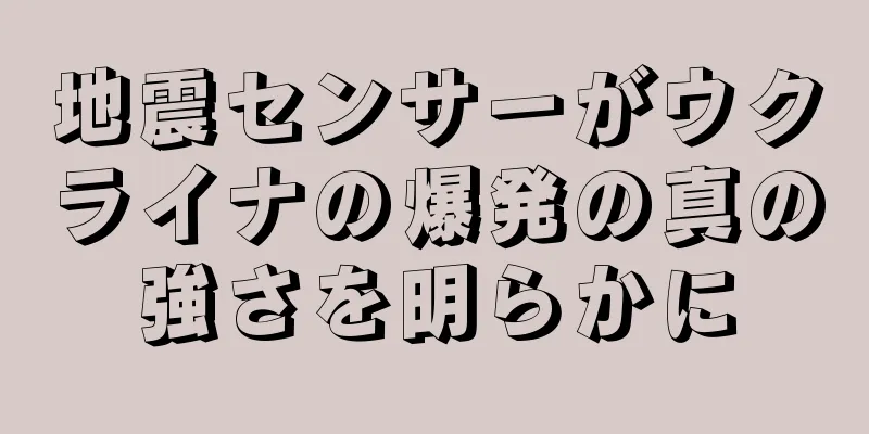 地震センサーがウクライナの爆発の真の強さを明らかに