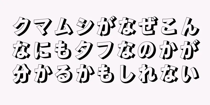 クマムシがなぜこんなにもタフなのかが分かるかもしれない