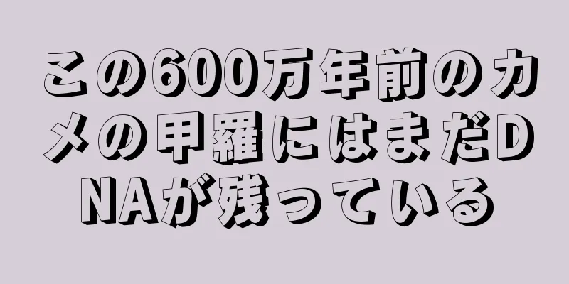 この600万年前のカメの甲羅にはまだDNAが残っている