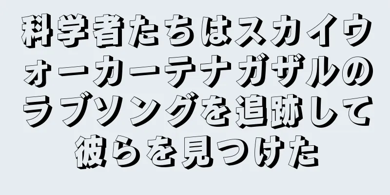 科学者たちはスカイウォーカーテナガザルのラブソングを追跡して彼らを見つけた
