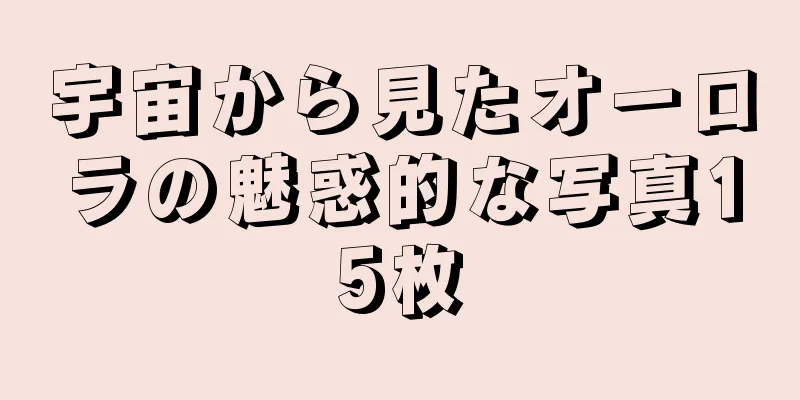 宇宙から見たオーロラの魅惑的な写真15枚