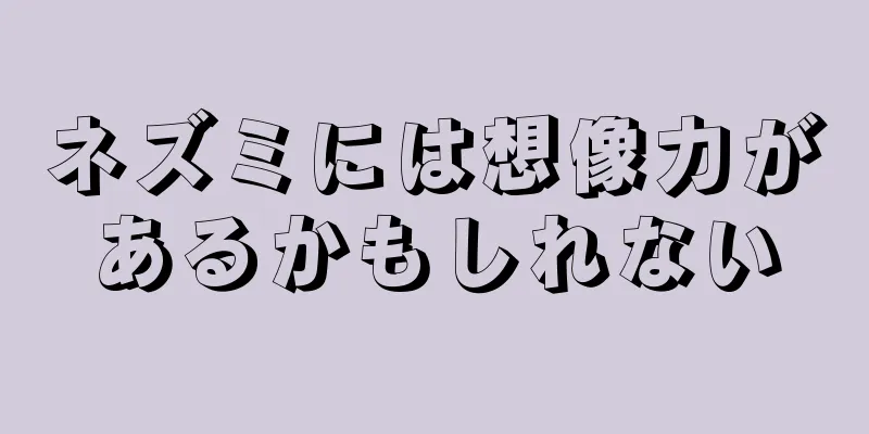 ネズミには想像力があるかもしれない