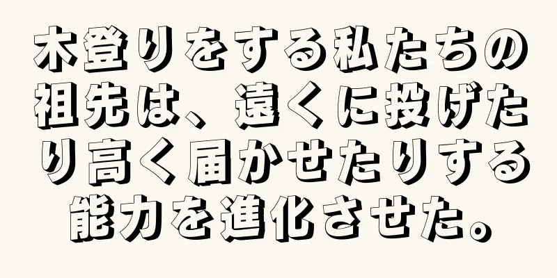 木登りをする私たちの祖先は、遠くに投げたり高く届かせたりする能力を進化させた。