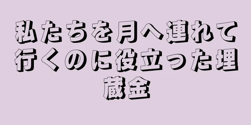 私たちを月へ連れて行くのに役立った埋蔵金