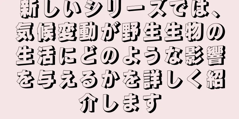 新しいシリーズでは、気候変動が野生生物の生活にどのような影響を与えるかを詳しく紹介します