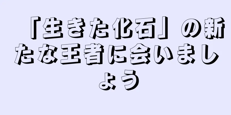 「生きた化石」の新たな王者に会いましょう