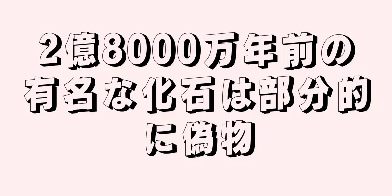 2億8000万年前の有名な化石は部分的に偽物