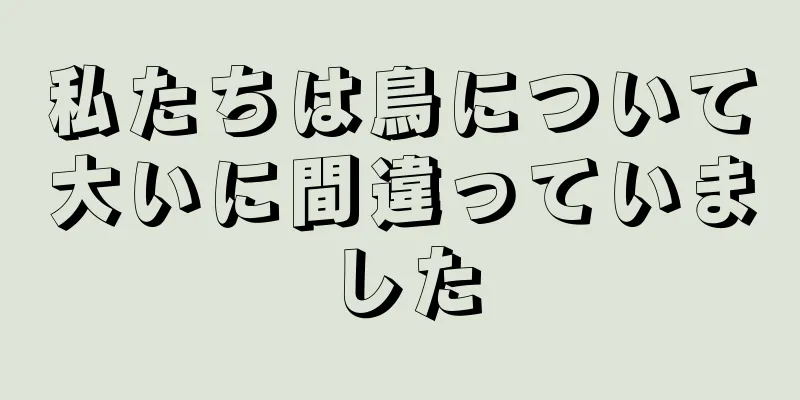 私たちは鳥について大いに間違っていました