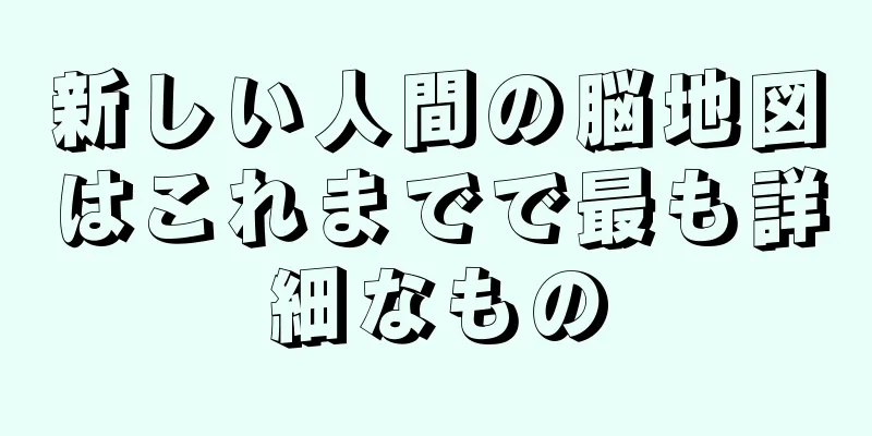 新しい人間の脳地図はこれまでで最も詳細なもの