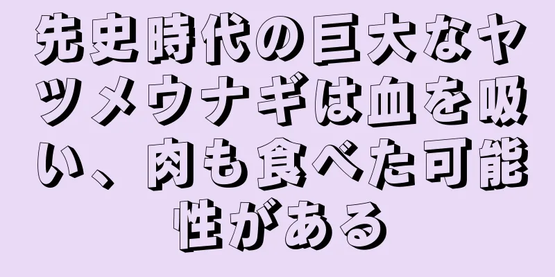 先史時代の巨大なヤツメウナギは血を吸い、肉も食べた可能性がある