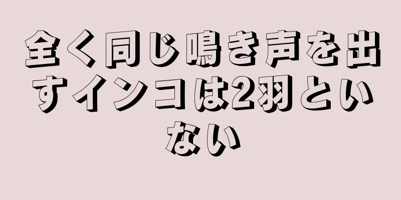 全く同じ鳴き声を出すインコは2羽といない