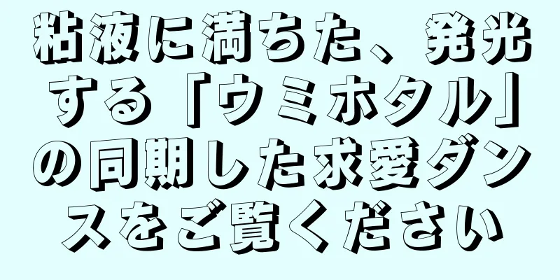 粘液に満ちた、発光する「ウミホタル」の同期した求愛ダンスをご覧ください