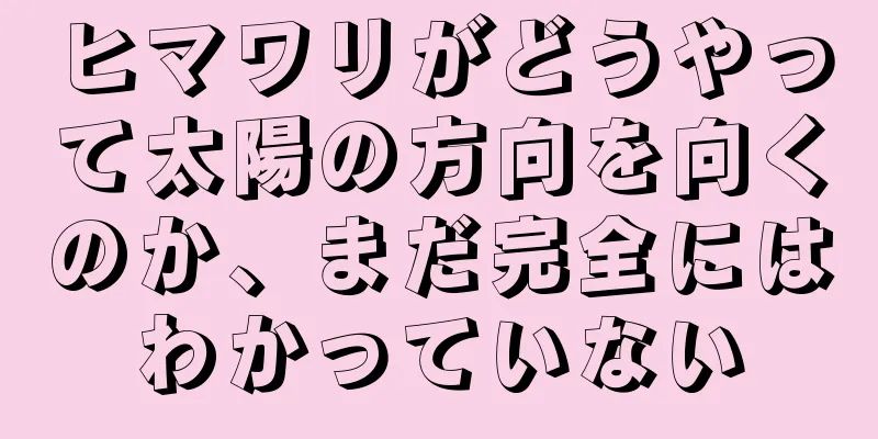 ヒマワリがどうやって太陽の方向を向くのか、まだ完全にはわかっていない