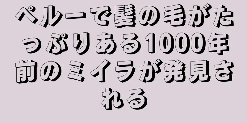 ペルーで髪の毛がたっぷりある1000年前のミイラが発見される