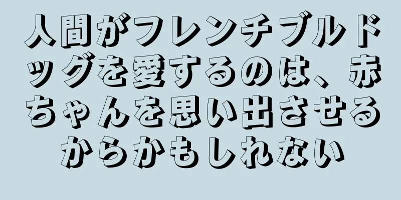 人間がフレンチブルドッグを愛するのは、赤ちゃんを思い出させるからかもしれない