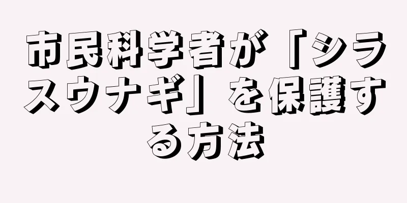 市民科学者が「シラスウナギ」を保護する方法