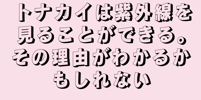 トナカイは紫外線を見ることができる。その理由がわかるかもしれない