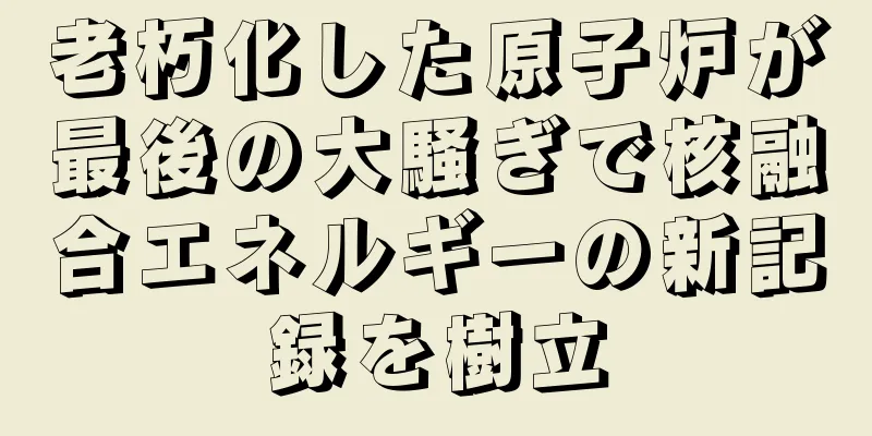 老朽化した原子炉が最後の大騒ぎで核融合エネルギーの新記録を樹立