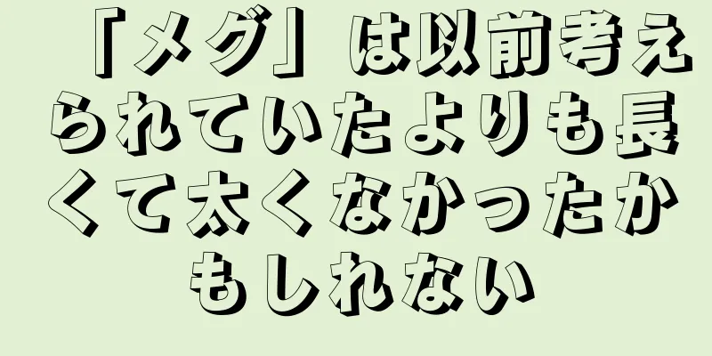 「メグ」は以前考えられていたよりも長くて太くなかったかもしれない