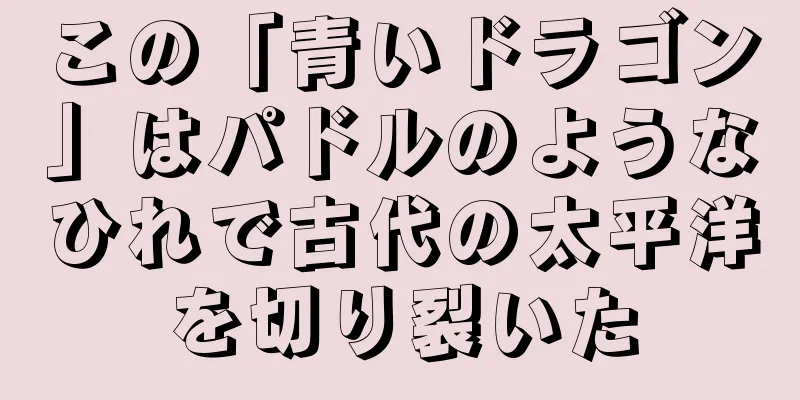 この「青いドラゴン」はパドルのようなひれで古代の太平洋を切り裂いた