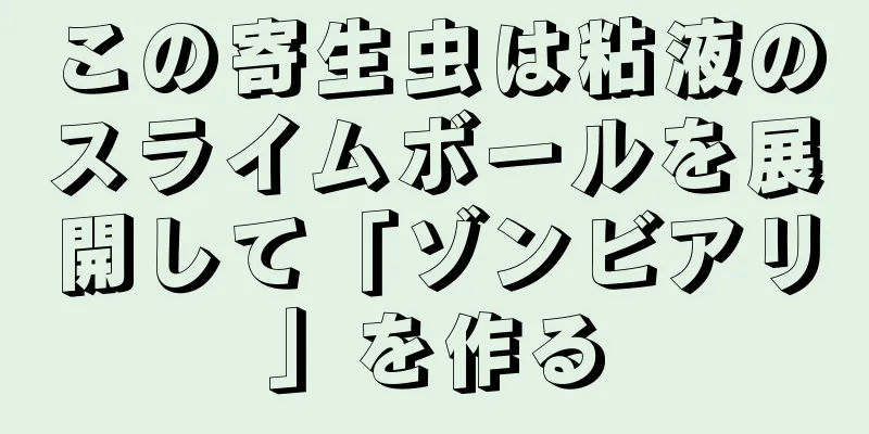 この寄生虫は粘液のスライムボールを展開して「ゾンビアリ」を作る