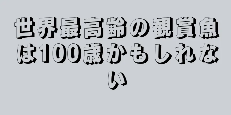 世界最高齢の観賞魚は100歳かもしれない