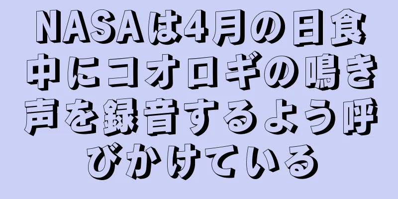 NASAは4月の日食中にコオロギの鳴き声を録音するよう呼びかけている