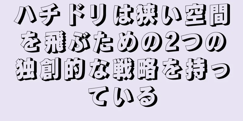 ハチドリは狭い空間を飛ぶための2つの独創的な戦略を持っている