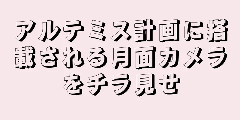 アルテミス計画に搭載される月面カメラをチラ見せ