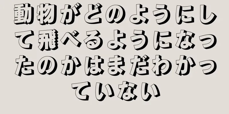 動物がどのようにして飛べるようになったのかはまだわかっていない