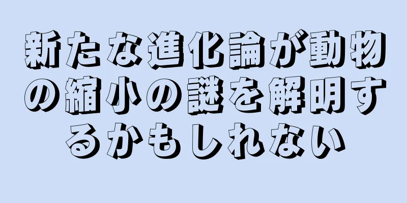 新たな進化論が動物の縮小の謎を解明するかもしれない