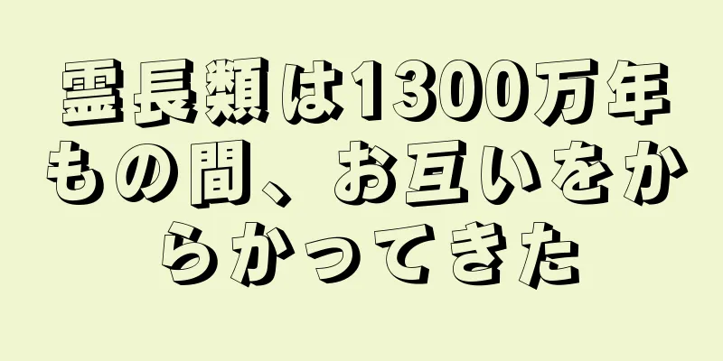 霊長類は1300万年もの間、お互いをからかってきた